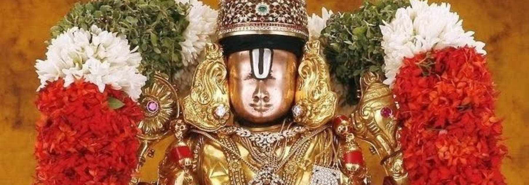 Untitled design (16)